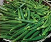 Okra Hybrid Seeds